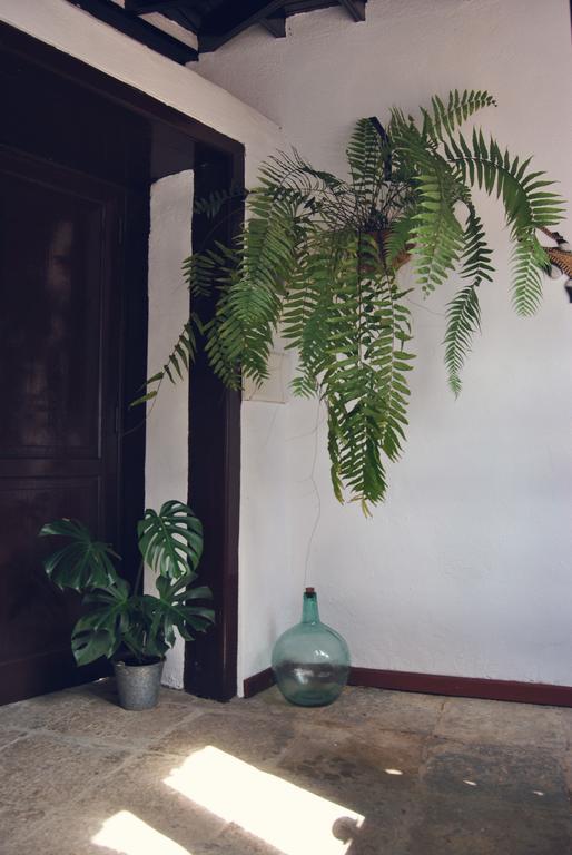 Casa Rural El Palmar บาแญร์โมโซ ภายนอก รูปภาพ